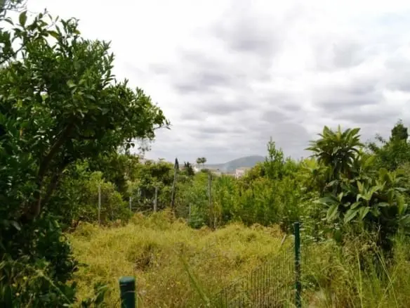 For sale in Campanet Mallorca Pierre de terre