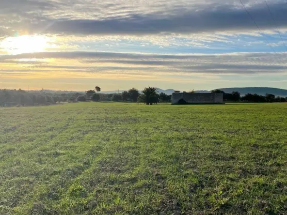 Terreno en venta en Mallorca