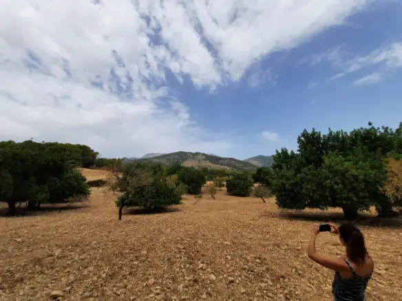 Se vende en Mallorca un terreno para construcción