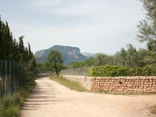 Parcela Lloseta