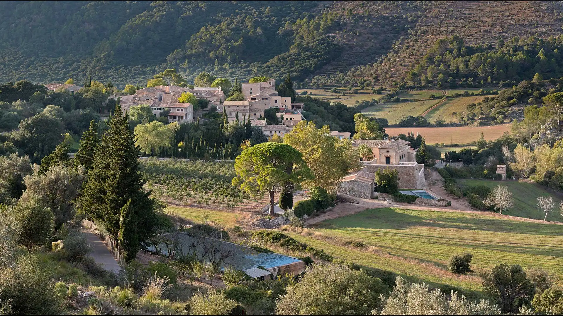 Kontakt Mallorca Property Guru