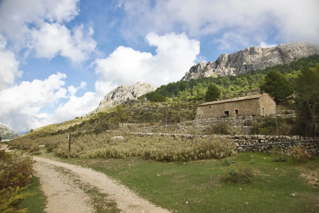 Buying land in Mallorca