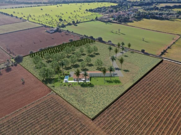 Finca Project For Sale in Costitx