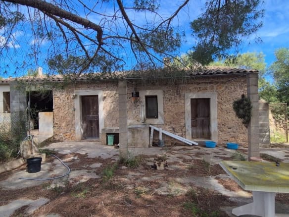 Projectes de Renovació