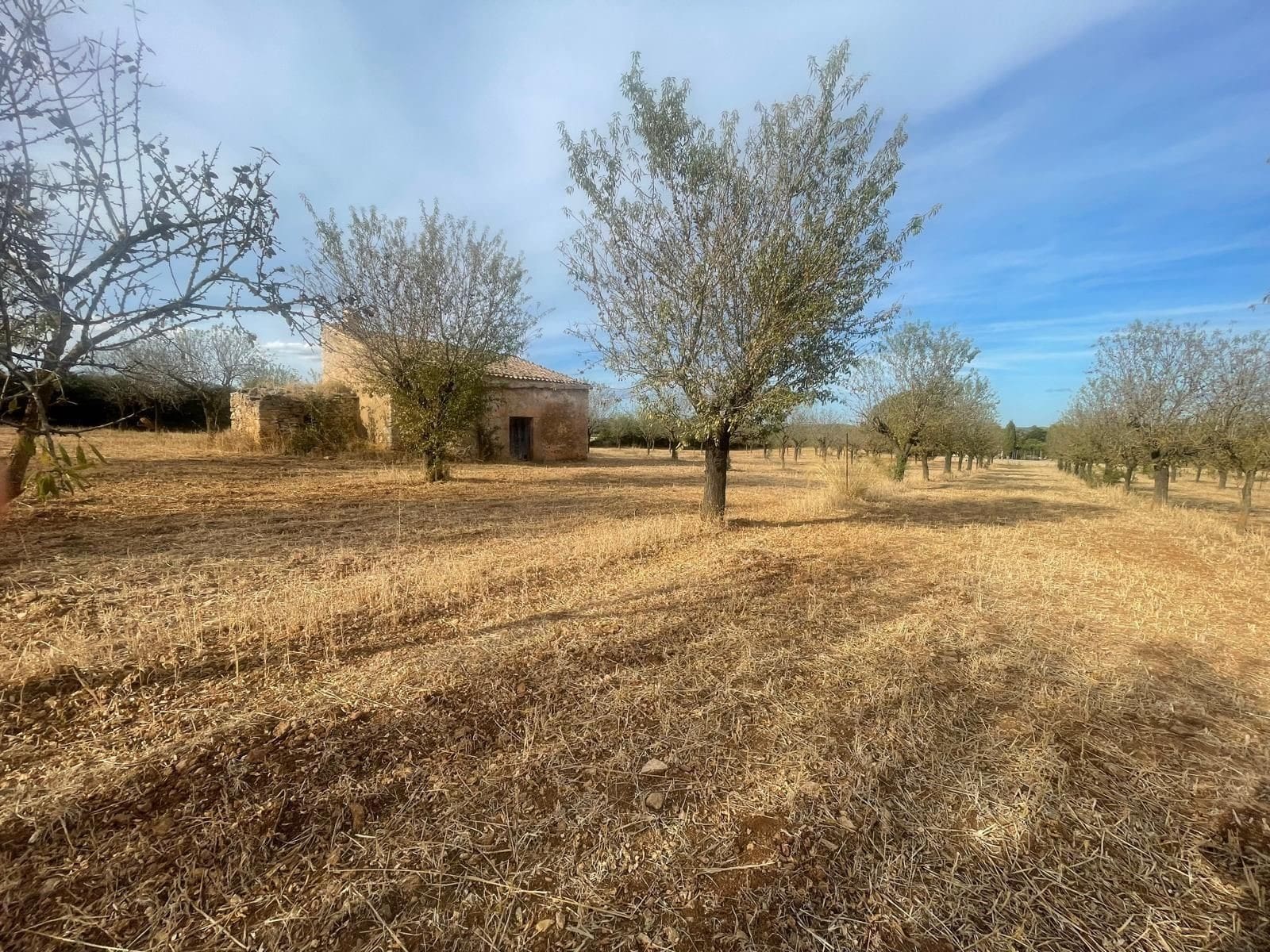 Property Image 3 Property Image 3